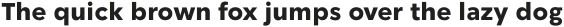 Fragmatika Bold Text otf (700)