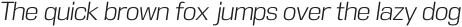 DDT Light Italic otf (300)