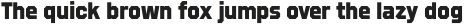 Refuel ExtraBold otf (700)