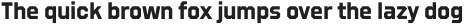 Refuel Bold otf (700)