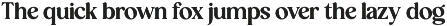 Orange Squash - Bold Vintage Serif preview