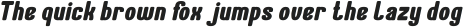 Ameliorate Bold Italic otf (700)