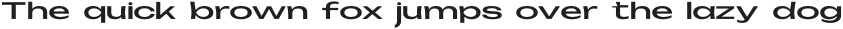 Metzler Display Regular otf (400)