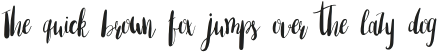 Amber Light Font Update Regular otf (300)