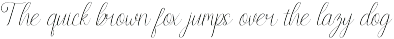 Endelly Script Fonts preview