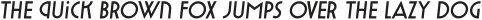 Varygraphie Regular Italic otf (400)