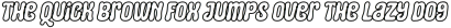 Squid Outline Italic Regular otf (400)
