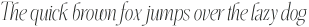 Faithful Colony Thin Italic otf (100)