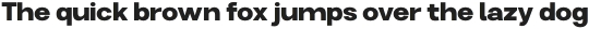 Liak-Bold otf (700)