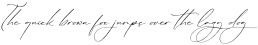Lillywhite Italic otf (400)