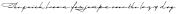 PGF-Business C-Light otf (300)