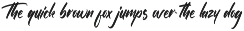 The Raster Font preview