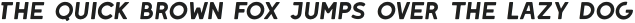 LEIXO Bold Italic otf (700)