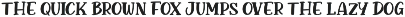 Birdsun a Quirky Serif Font preview