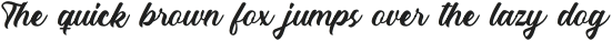 The Director Script otf (400)