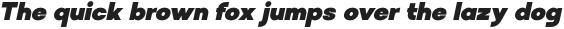 Solen Black Italic otf (900)