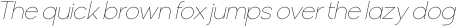 Solen Thin Italic otf (100)