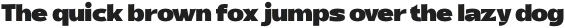 Tebel Sans Black otf (900)