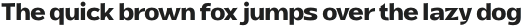 Tebel Sans Bold otf (700)