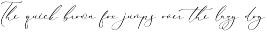 Bidalari Hearter A Beautiful Script preview