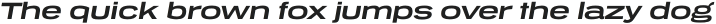 Tussilago Bold Italic otf (700)