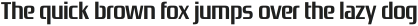 Zrnic Bold otf (700) Sample