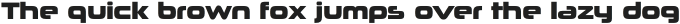 Neuropolitical ExtraBold otf (700)