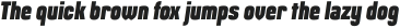Maqui Black Italic otf (900)