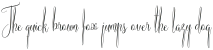 American Script otf (400) Sample