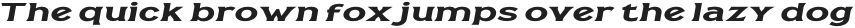 Casille Bold Extra Expanded Italic otf (700)