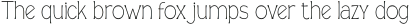 Casille Thin Condensed otf (100)