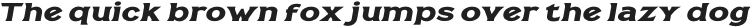 Casille Extra Bold Expanded Italic otf (700)