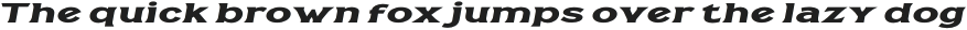Casille Extra Bold Extra Expanded Italic otf (700)