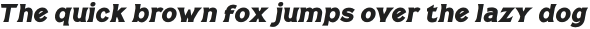 Casille Black Semi Condensed Italic otf (900)
