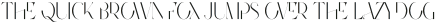 Future Flow Display otf (400)