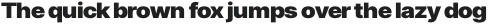 Stage Grotesk Black otf (900)