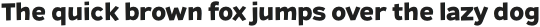 Remissis Bold otf (700)