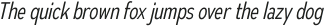 Autoradiographic Light Italic otf (300)