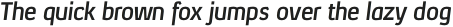 Xenu Bold Italic otf (700)