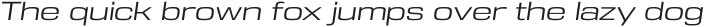 DDT Extended Book Italic otf (400)