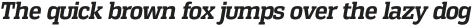 Vectipede Bold Italic otf (700)