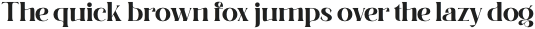 Moldyen Extra Bold otf (700)