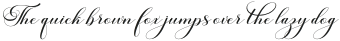 Bologna Script Regular otf (400)