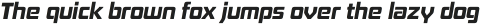 Board of Directors Bold Italic otf (700)