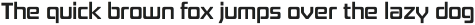 Board of Directors Regular otf (400)
