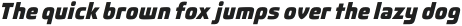 Fluctuation ExtraBold Italic otf (700)