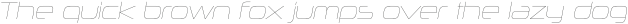 Neuropolitical UltraLight Italic otf (300)
