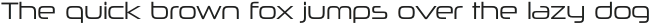 Neuropolitical Light otf (300)