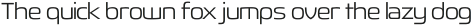 Fluctuation Light otf (300)