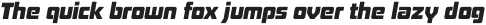 Board of Directors Heavy Italic otf (800)